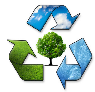 Environment & Community Services